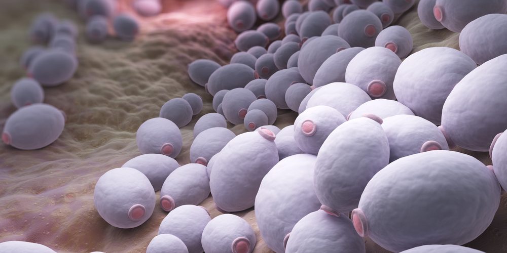 FDA Needs More Data Before Deciding on Novel Antifungal Olorofim