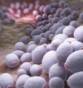FDA Needs More Data Before Deciding on Novel Antifungal Olorofim