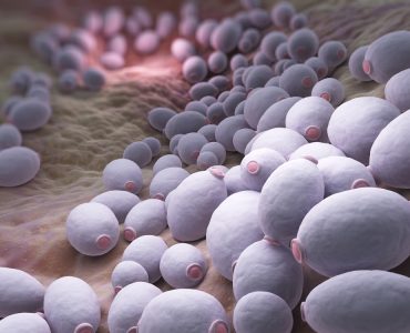 FDA Needs More Data Before Deciding on Novel Antifungal Olorofim
