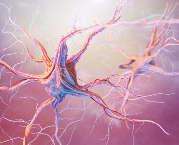 Sandoz biosimilar receives EC approval to treat MS