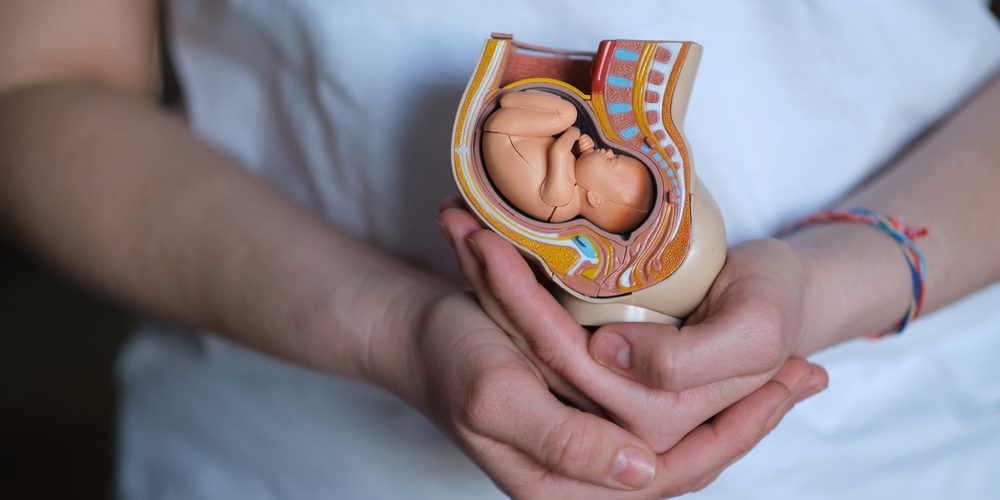 Future of 'Artificial Wombs' for Human Preemies to Be Weighed by FDA Advisers