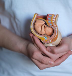Future of 'Artificial Wombs' for Human Preemies to Be Weighed by FDA Advisers