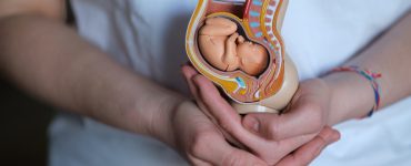 Future of 'Artificial Wombs' for Human Preemies to Be Weighed by FDA Advisers