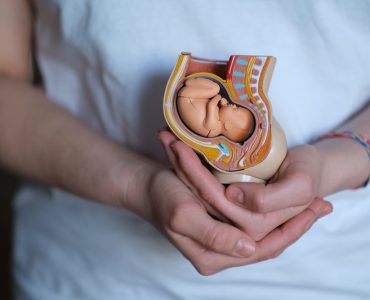 Future of 'Artificial Wombs' for Human Preemies to Be Weighed by FDA Advisers