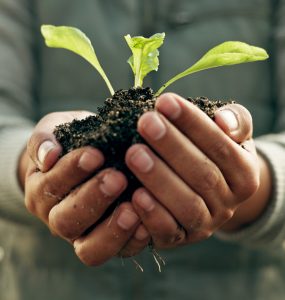 De rol van marketing in duurzame groei is uniek en essentieel
