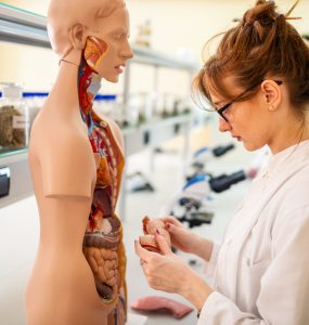 Gentherapie goedgekeurd voor Duchenne spierdystrofie in de Verenigde Staten