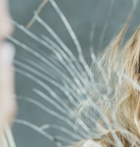 US FDA accepts Karuna Therapeutics' NDA for KarXT to treat Schizophrenia