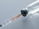 Tweede blauwtongvaccin toegelaten: 1,3 miljoen prikken beschikbaar