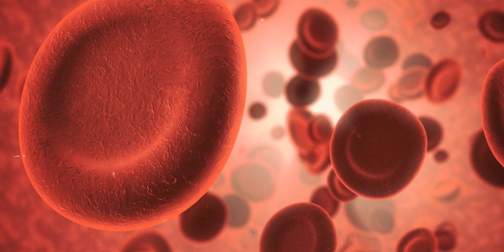 Moleculin krijgt goedkeuring van EMA voor uitbreiding AML-fase 3-studie binnen de EU