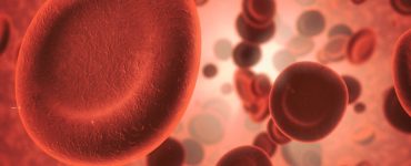 Moleculin krijgt goedkeuring van EMA voor uitbreiding AML-fase 3-studie binnen de EU