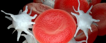 CHMP beveelt Sarclisa aan voor EU-goedkeuring bij nieuw gediagnosticeerd multipel myeloom