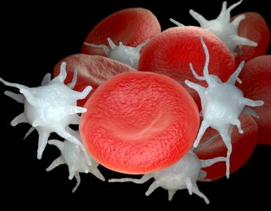 CHMP beveelt Sarclisa aan voor EU-goedkeuring bij nieuw gediagnosticeerd multipel myeloom